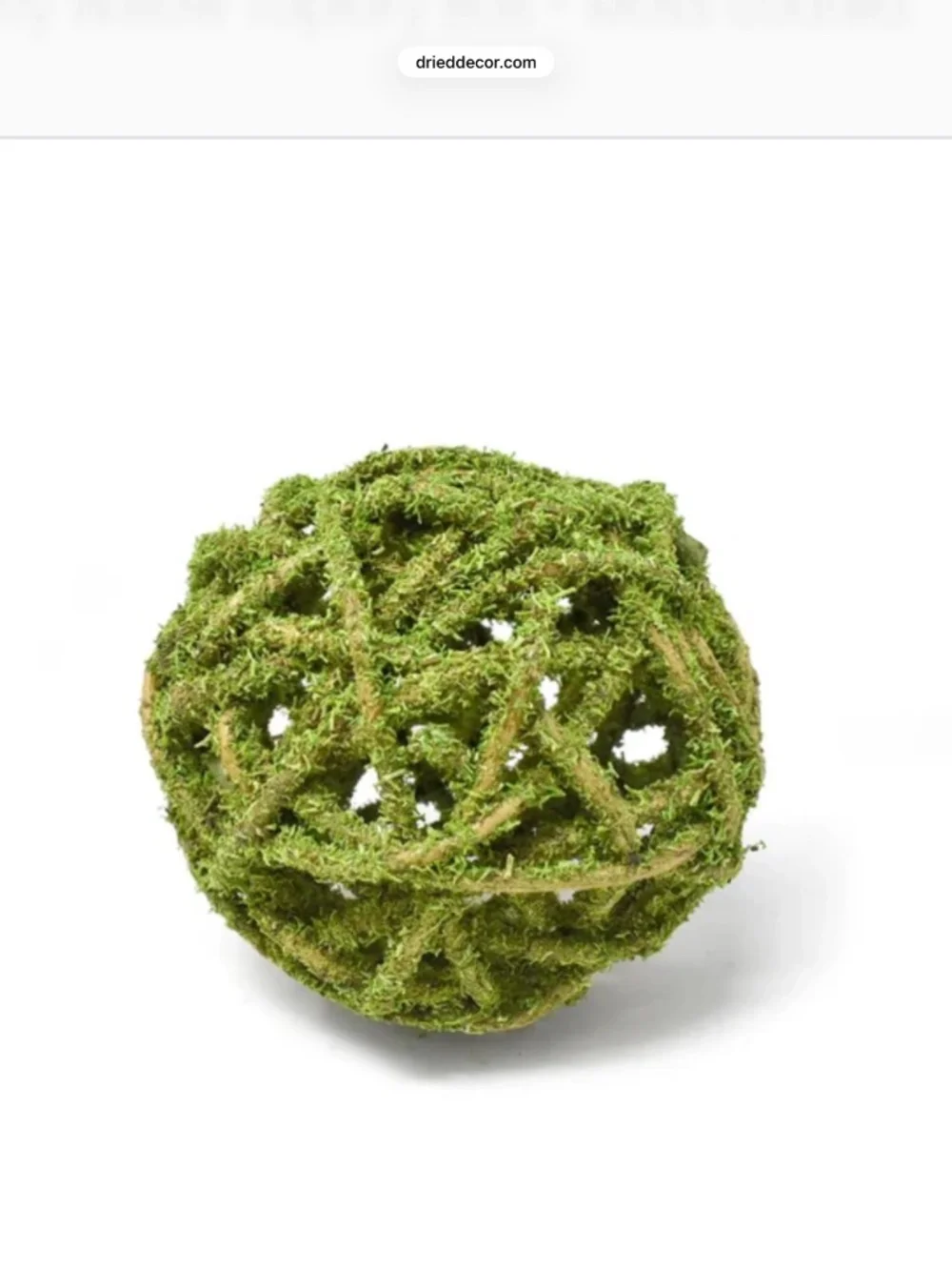Moss coated 4” balls, 6 total